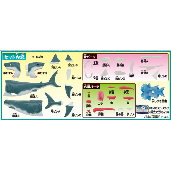 KAITAI PUZZLE SHARK PUZZLE