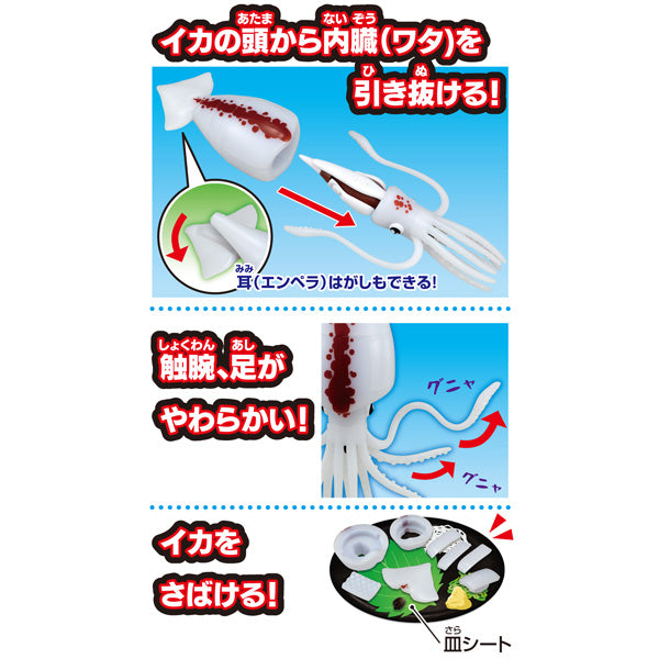 KAITAI PUZZLE SQUID PUZZLE (2nd rerun)