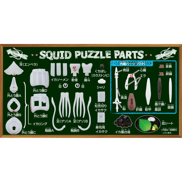KAITAI PUZZLE SQUID PUZZLE (2nd rerun)