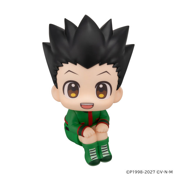 LOOK UP SERIES HUNTER × HUNTER Gon Freecss