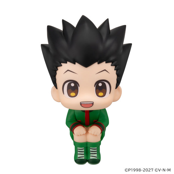 LOOK UP SERIES HUNTER × HUNTER Gon Freecss