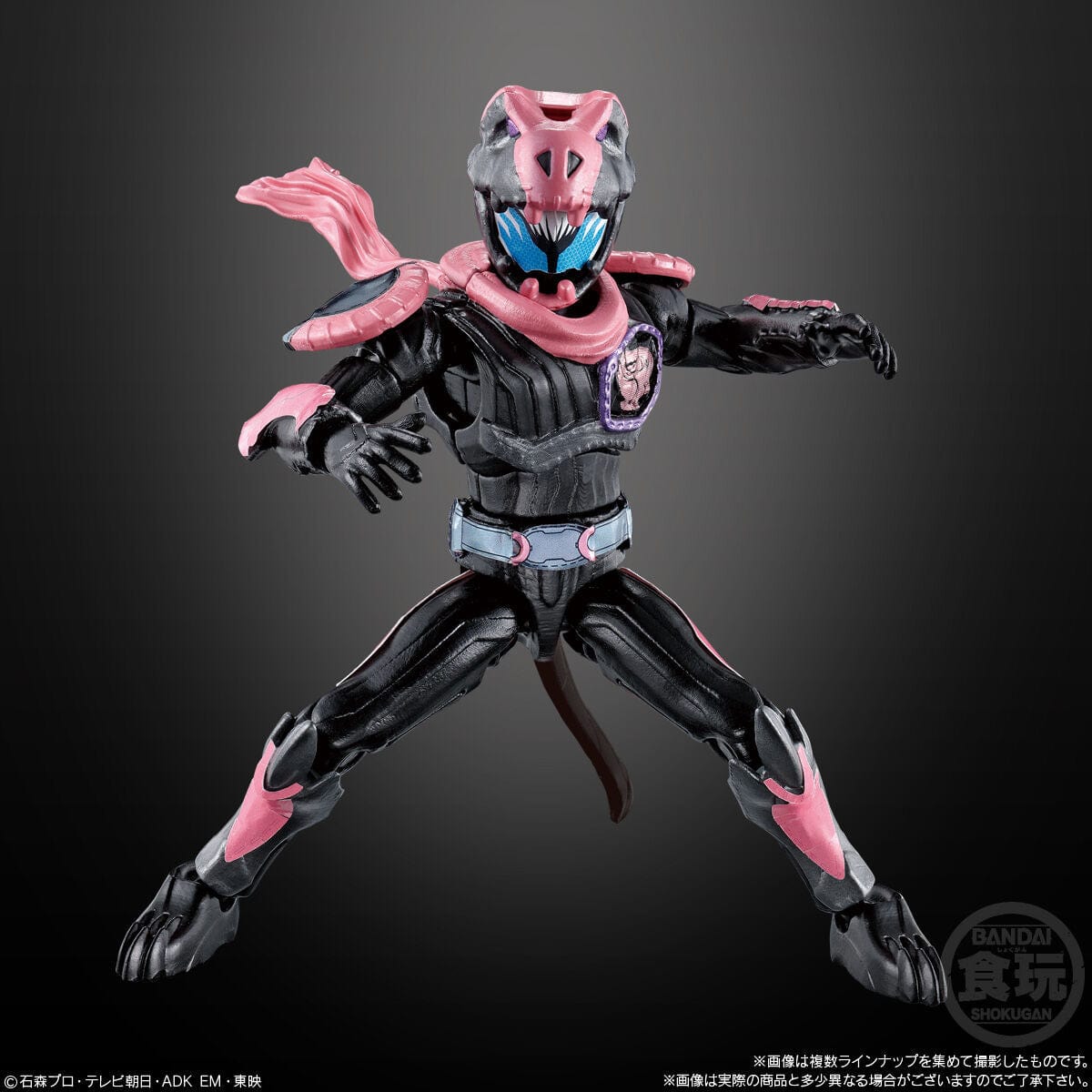 Bandai KAMEN RIDER ACTION FIGURE 2021 NEW BOY CHARACTER VOL.1
