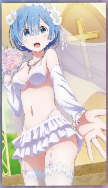 Taito Re : Zero Starting Life in Another World Multi Cloth Vol 2