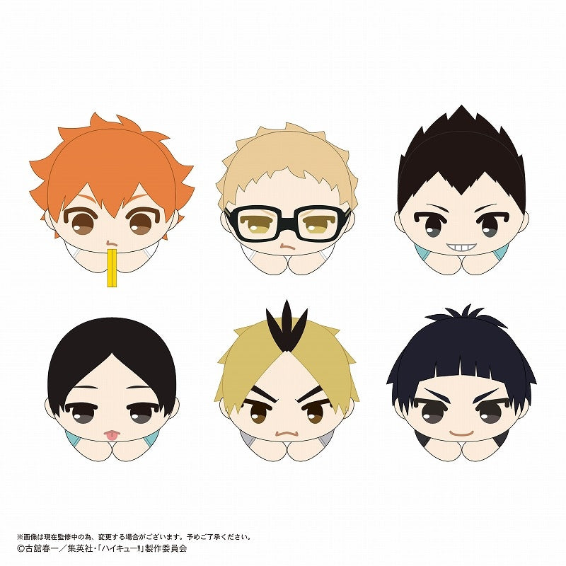 Haikyu !! Hug Character Collection 9