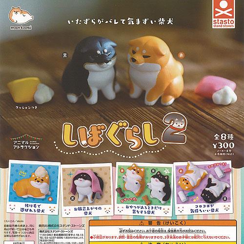 CP3184 Shiba Gurashi 2