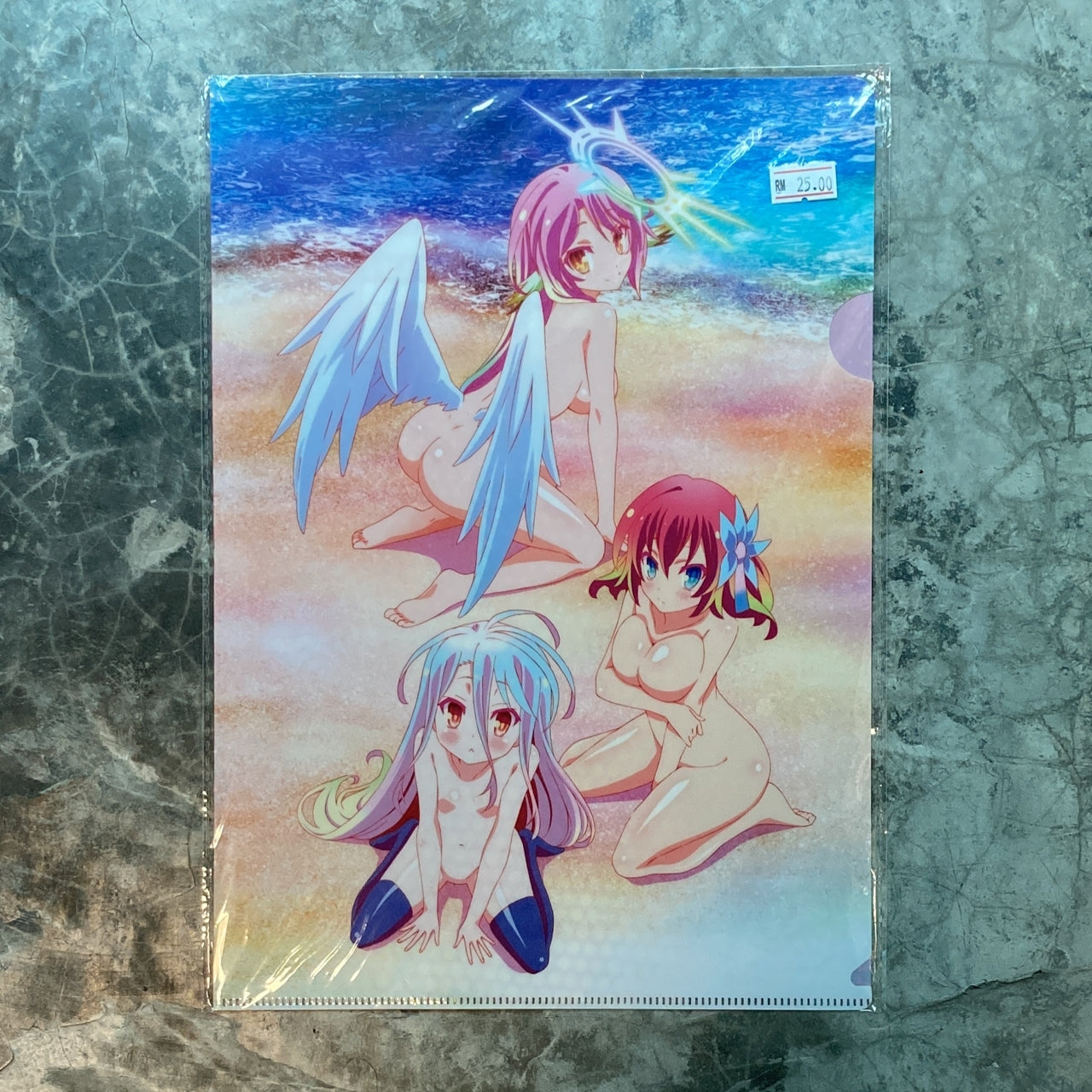 No Game No Life A4 Folder (NOT FOR SALE)