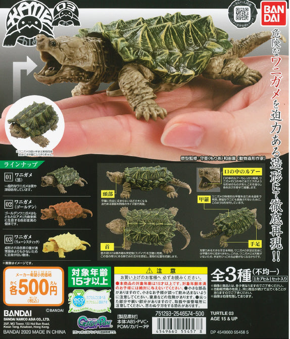 WB0063 TURTLE 03