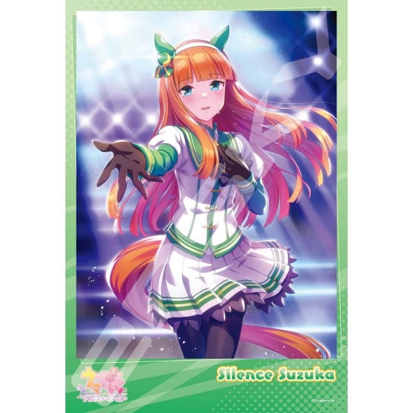 enSKY Uma Musume Pretty Derby Jigsaw Puzzle 300 Piece [ Beyond the Shining Scenery ] 300-1995